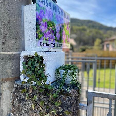 Casa Mia Malva Apartment Ricco del Golfo di Spezia Luaran gambar