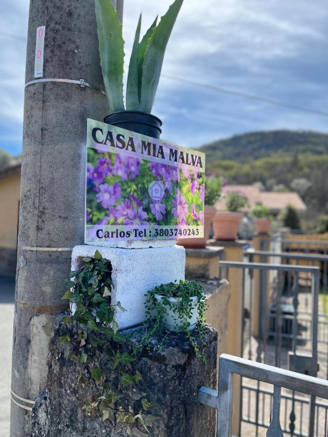Casa Mia Malva Apartment Ricco del Golfo di Spezia Luaran gambar