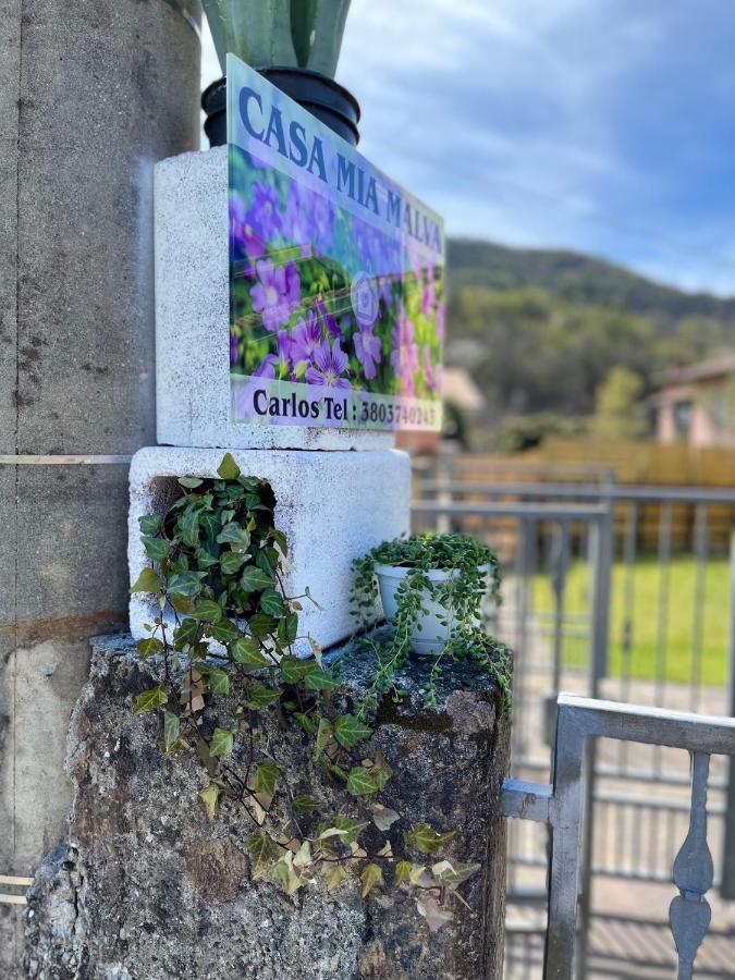 Casa Mia Malva Apartment Ricco del Golfo di Spezia Luaran gambar